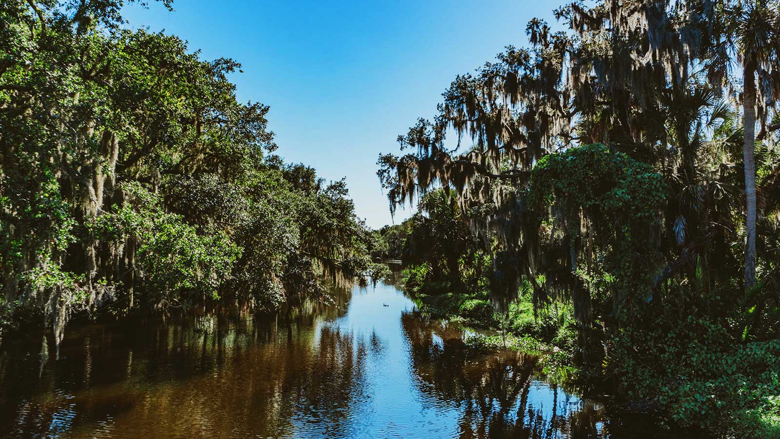 Florida-Spoil-Island--Ttampa-Bay-Estuary-Program-mc---Spoil-Island-Project---Florida